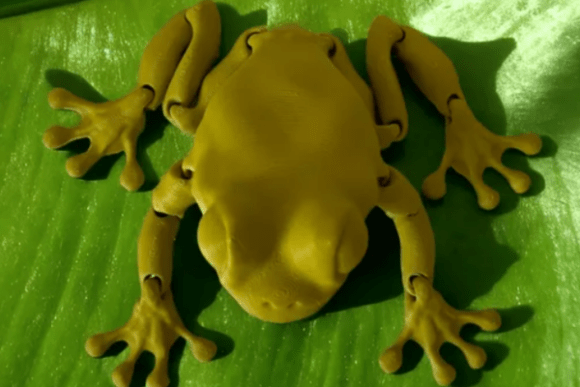 Articulated Clean Frog: A Delightful 3D Printable Companion